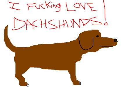 KEATON KONTEST: Dachshunds