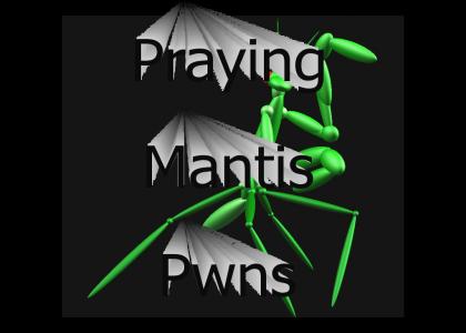 3D Mantis Model