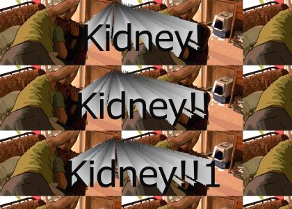 A Scanner Kidney