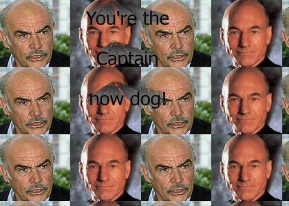 Captain Dog
