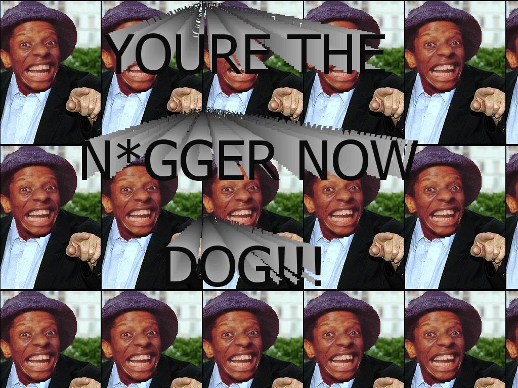 youretheniggernowdog