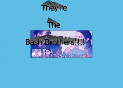 The Bash Brothers
