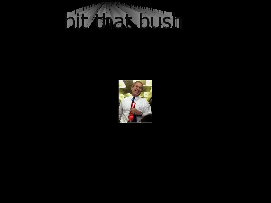 hitbushhit