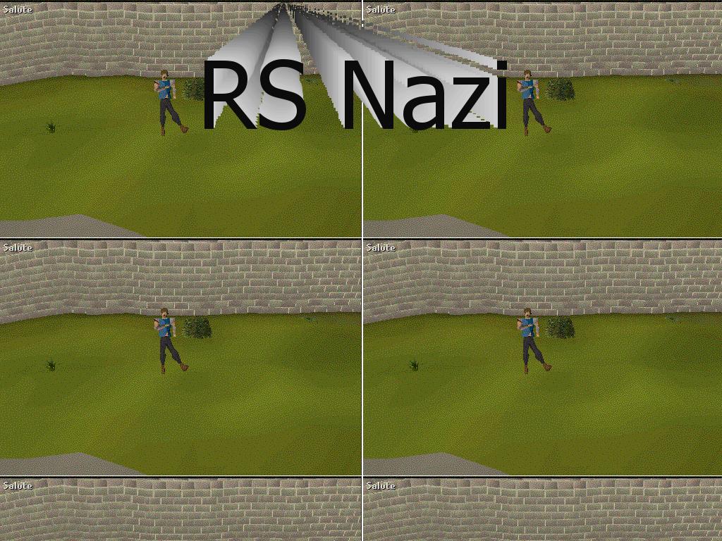 rsnaziscoming