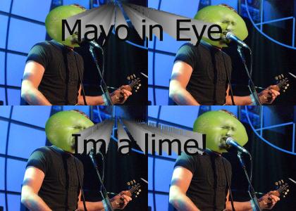 Mayo Lime