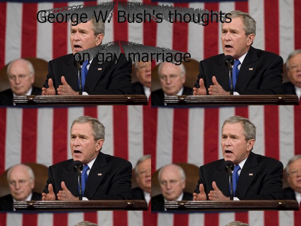 bushgaymarriage