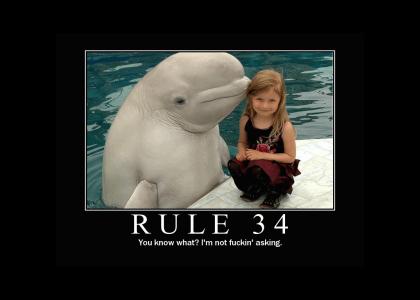 Rule #34