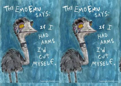 Emu goes Emo