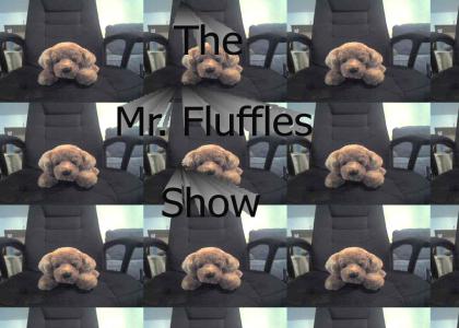 The Mr. Fluffles Show