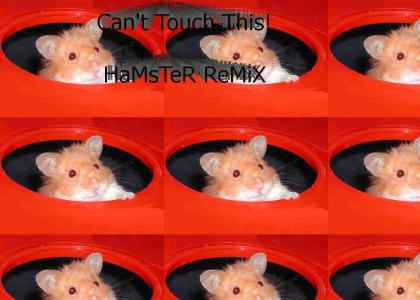 Can't Touch this! hAmStEr ReMiX - Caitlin and Vicky!