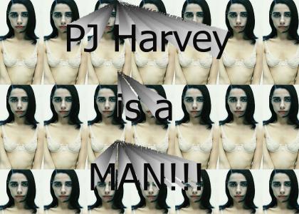 PJ Harvey Is A Man