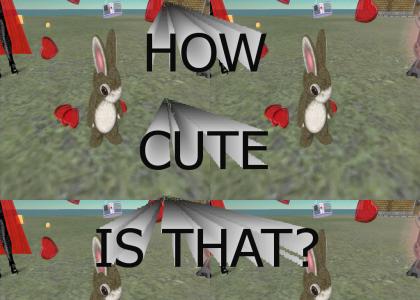 Cute Bunny From Secondlife
