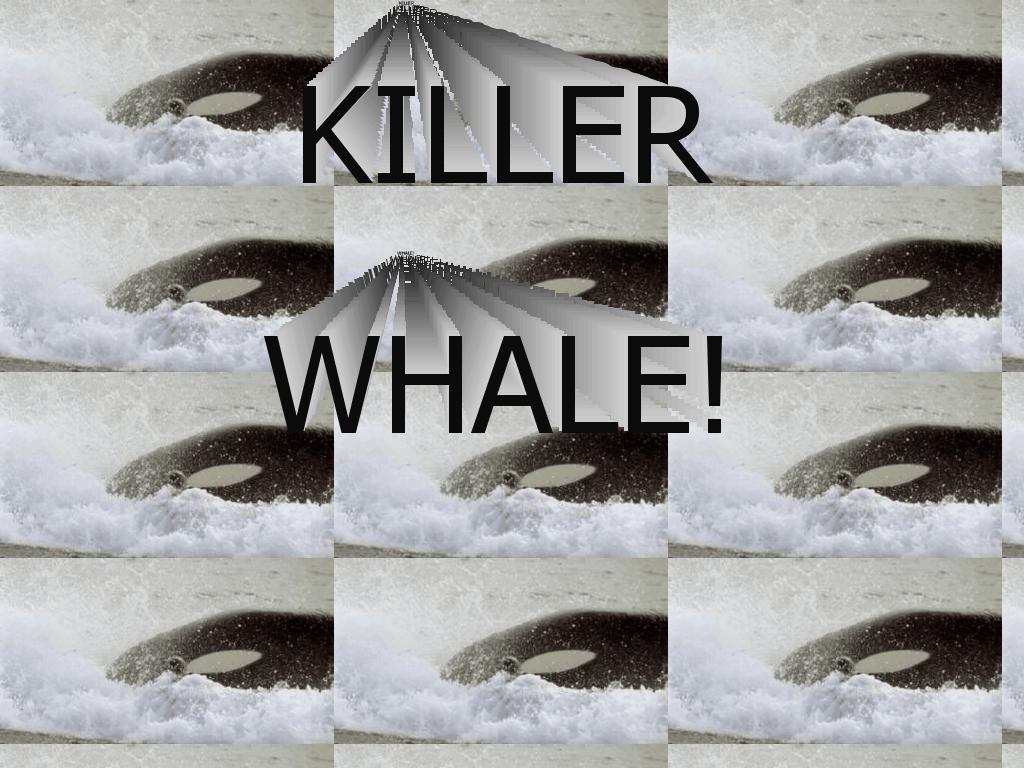 killerwhale