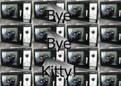 Bye Kitty! I Love You!