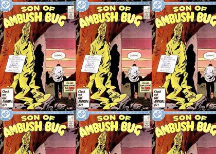 ambush bug