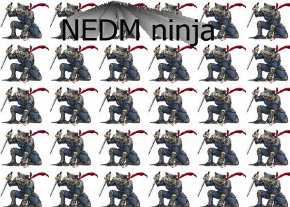 NEDM ninja