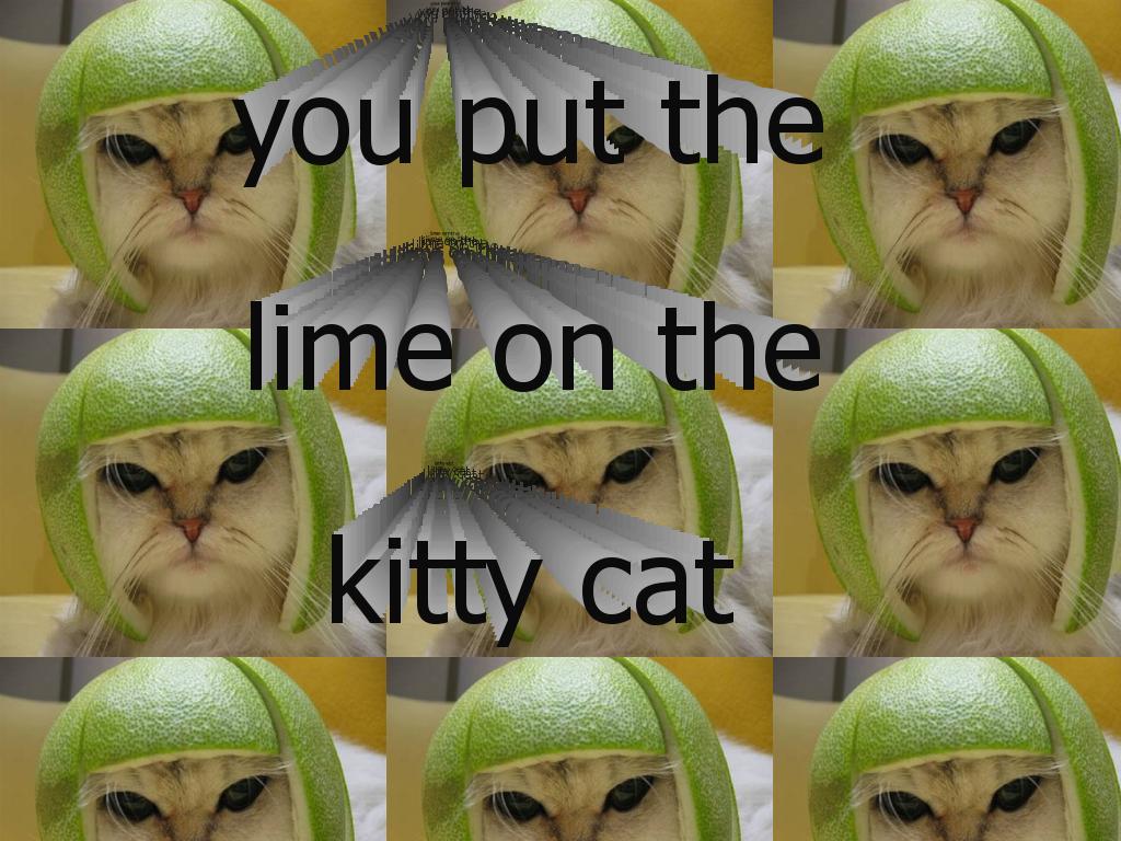 lime-cat