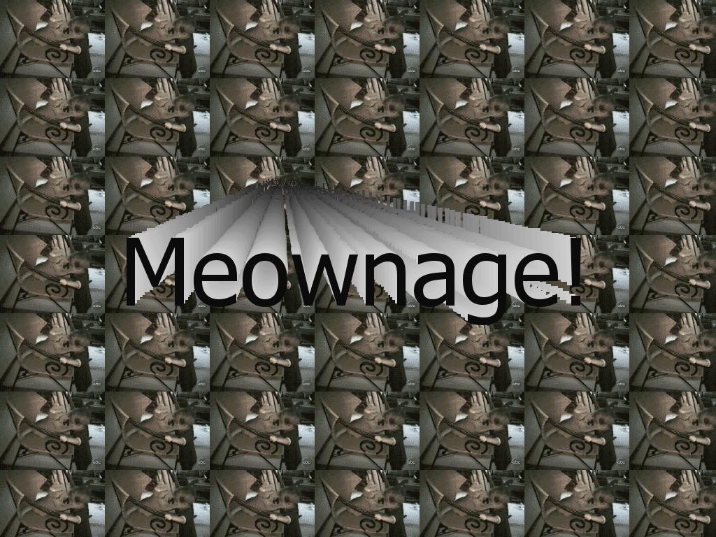 Meownage