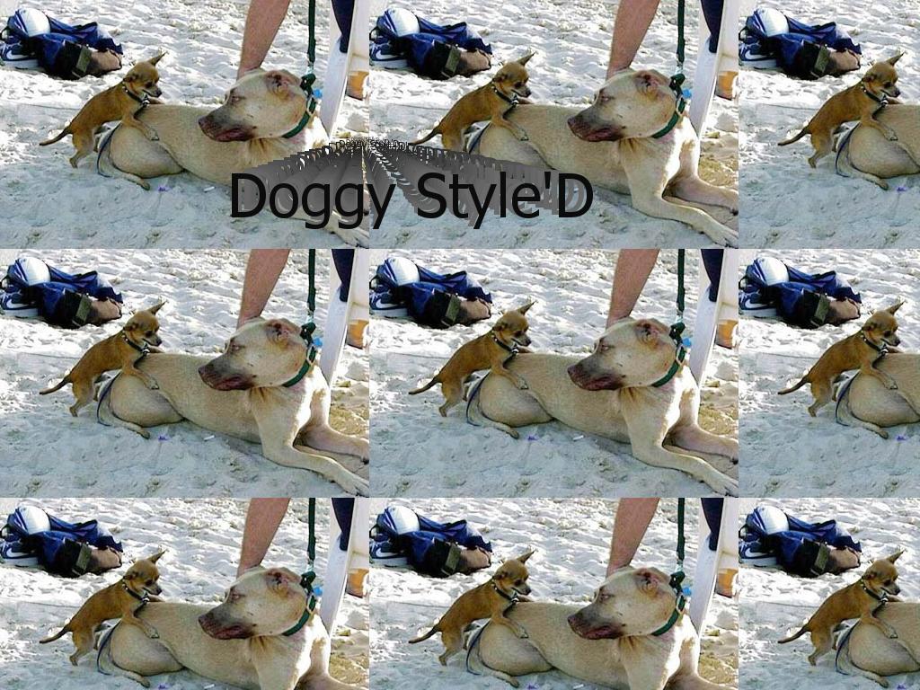 doggystyle