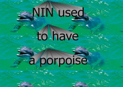 NIN used to have a porpoise