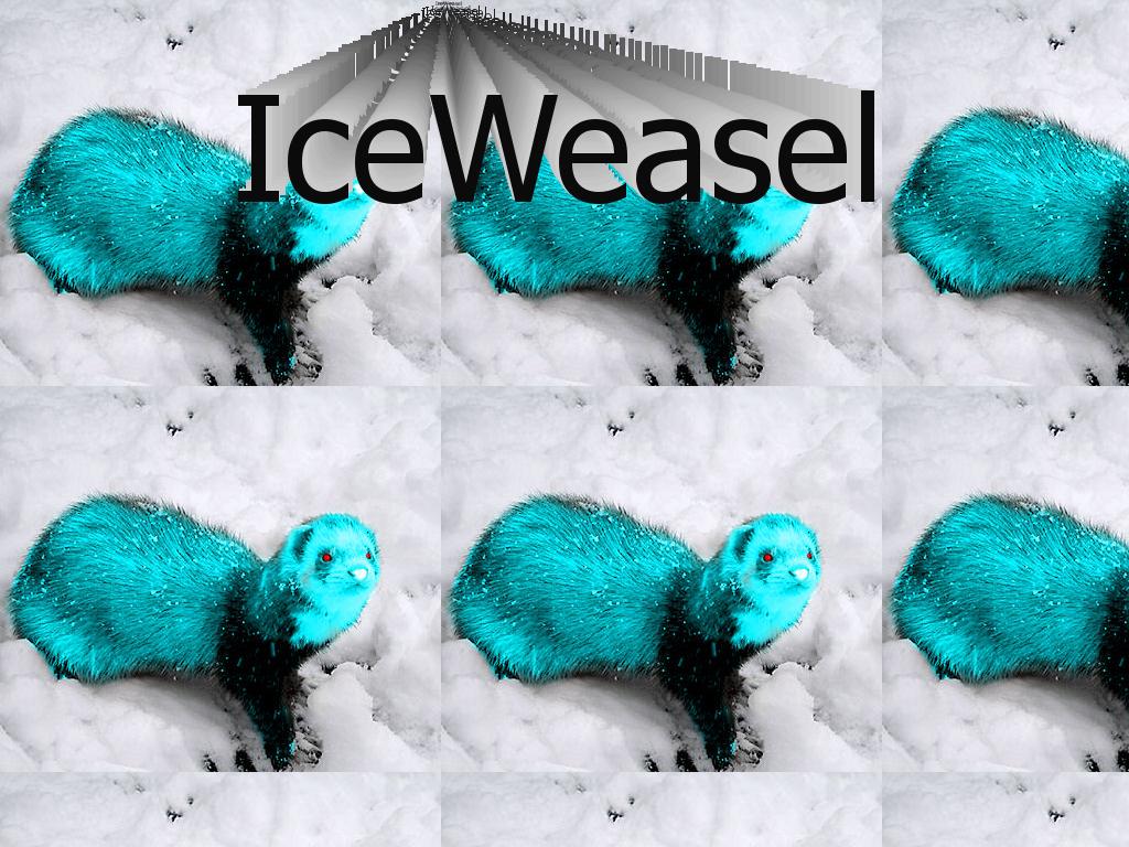 iceweasel