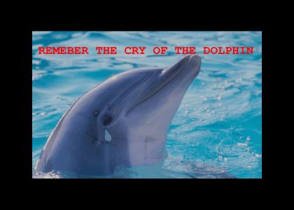 CRY OF THE DOLPHIN
