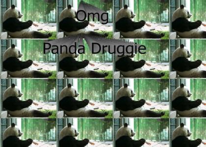 Stoned Panda