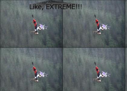 Extreme Ironing!!!