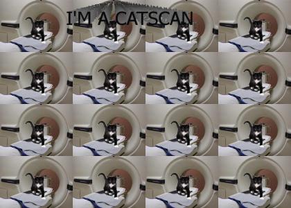 I'm a catscan !!!