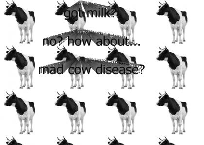 madcow