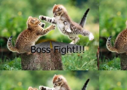 Kitty Boss Fight
