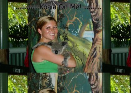 Koala on Me