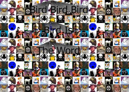 Bird is still the word