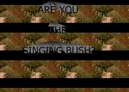 Are you the singing bush?