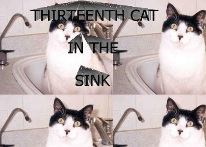 THIRTEENTH CAT IN THE SINK