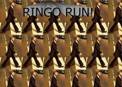 Run Ringo!