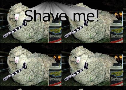Shave me ;-)