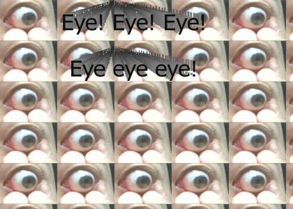 Eye! Eye! (fixed loop)