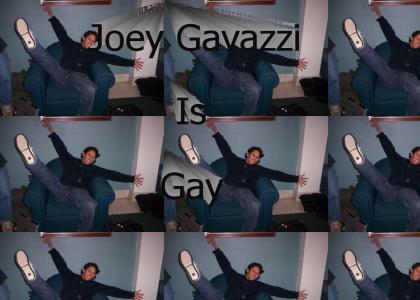 Joey Gavazzi is gay