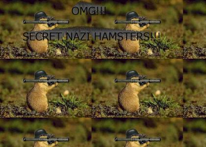 Secret Nazi Hamsters!