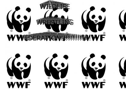 THE NEW WWF!!!!!!!