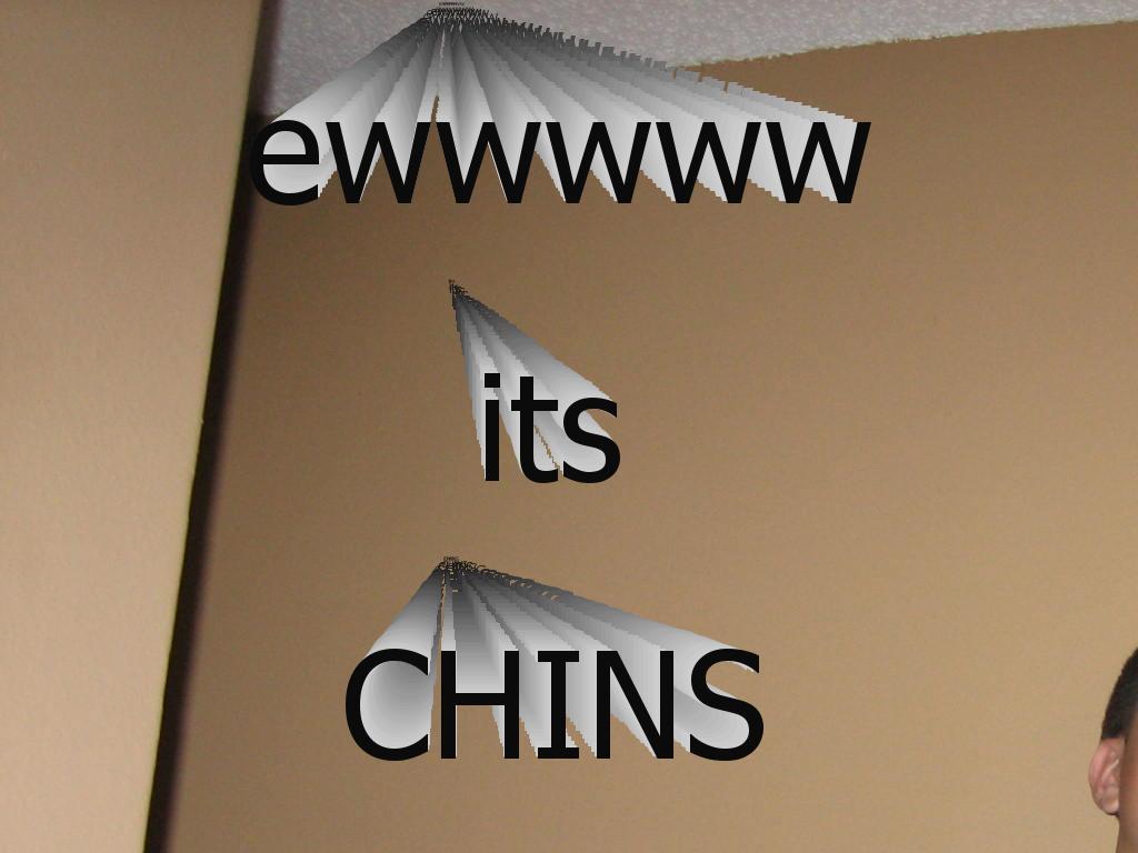 thechins