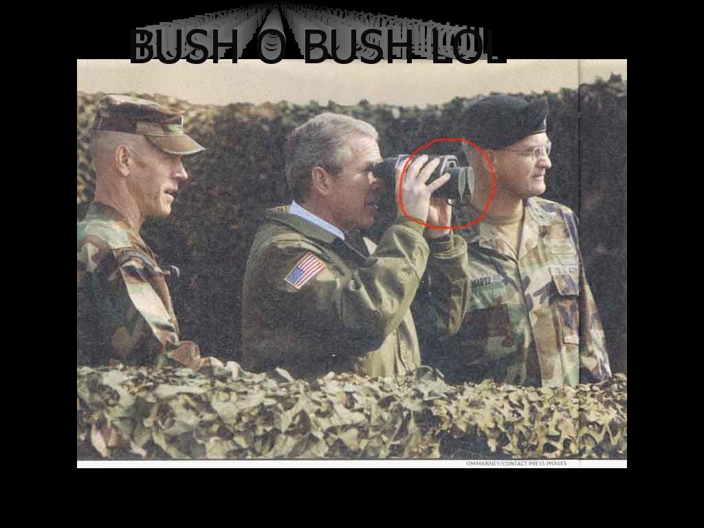 bush88