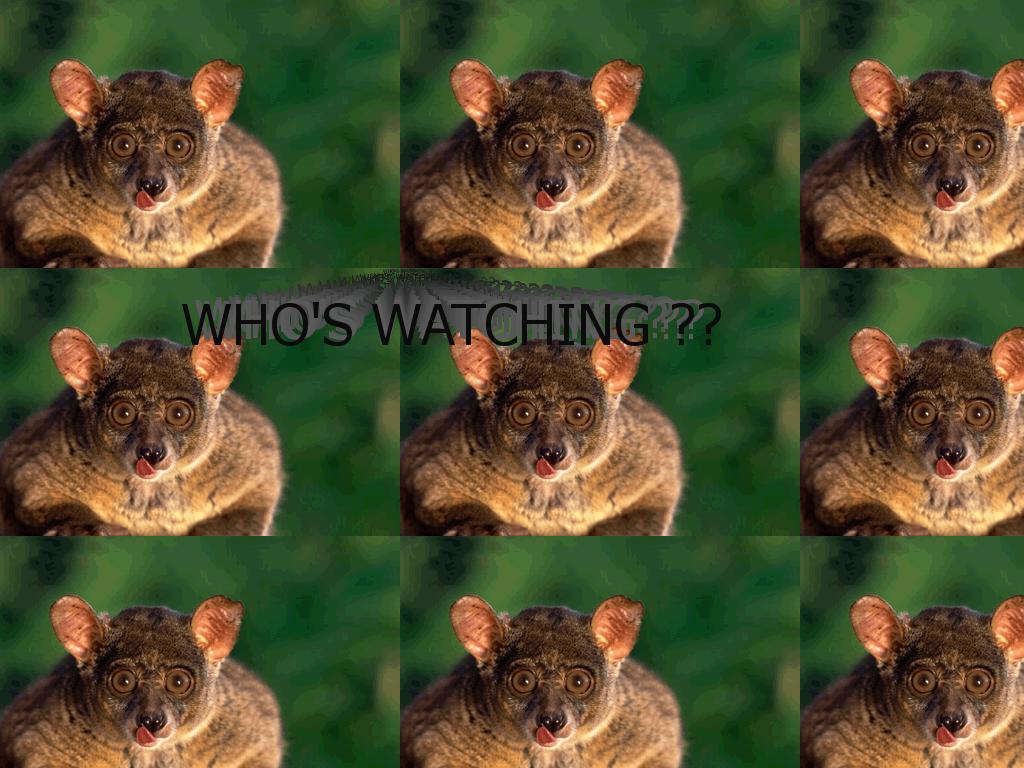 whoswatching