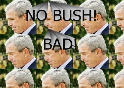 Bad Bush! Bad!