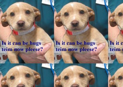 Is it can be hugs teim now pleese?