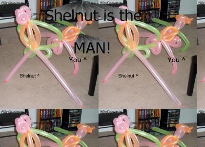 Shelnut and you