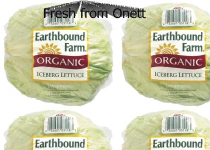 Earthbound lettuce