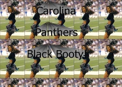 Carolina Panthers Cheerleaders