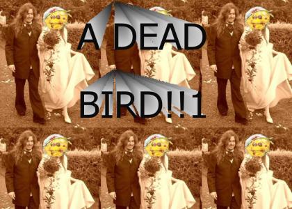 opeth dead bird